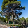 019 Rallye La Nucia 2019 011_